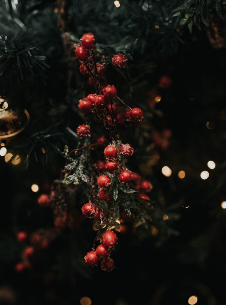 a close up of a christmas tree with red berries